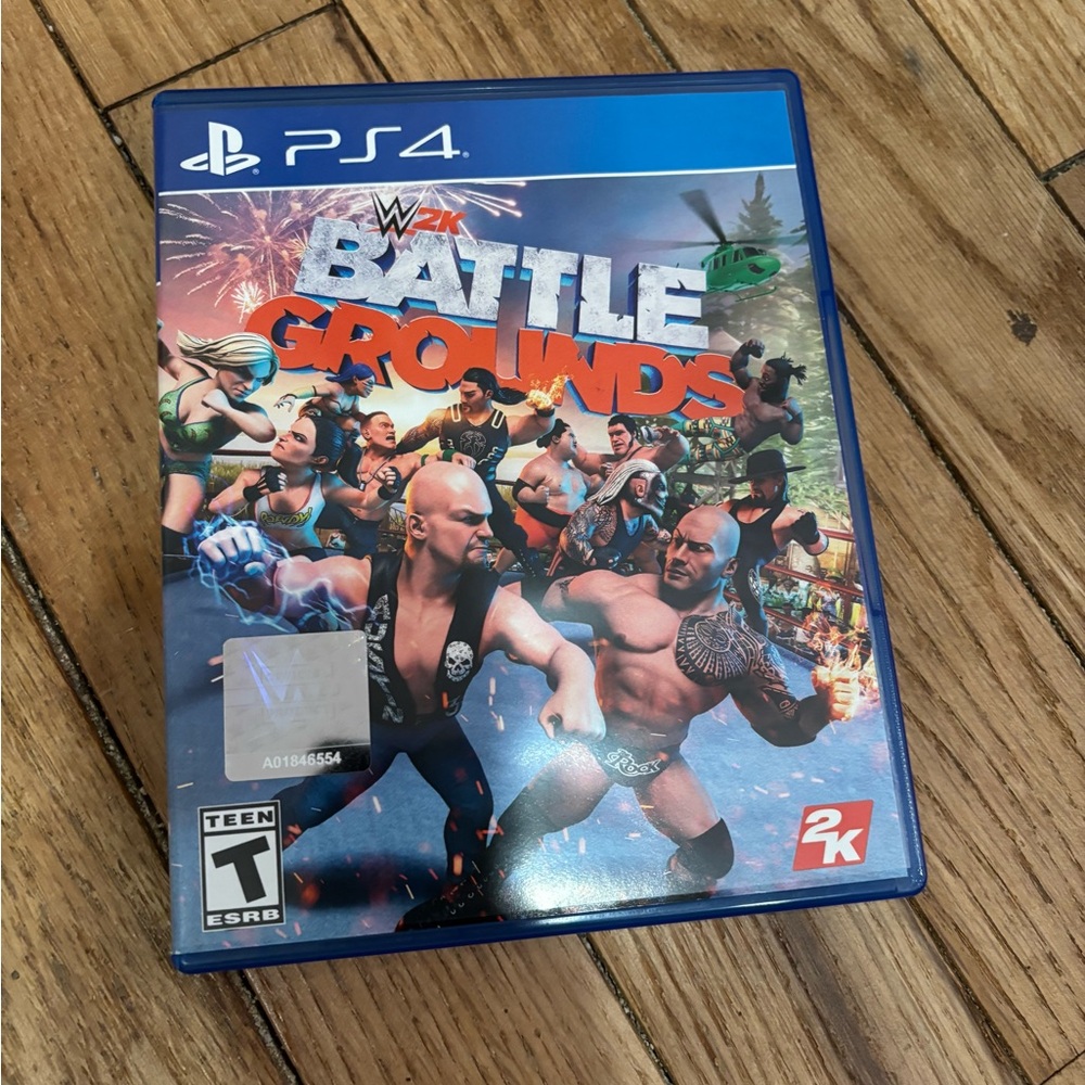 PS4 WWE 2K Battlegrounds